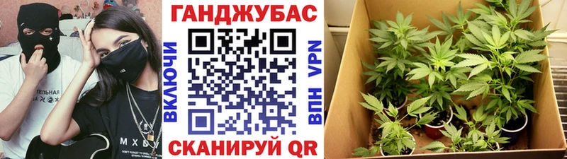 МАРИХУАНА семена  Абаза 